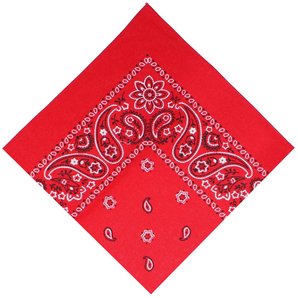 22" Paisley Cotton Bandana