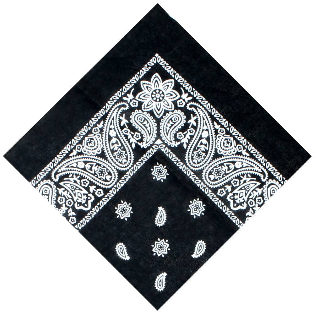 22" Paisley Cotton Bandana