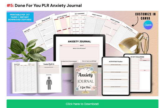 DIGITAL DOWNLOAD-#5: Done For You PLR Anxiety Journal – 57 Pages  |  | INSTANT DOWNLOAD/ Printable & Editable in Canva Wonkey Donkey Bazaar