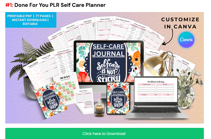 DIGITAL DOWNLOAD-SELF-CARE PLANNER Wonkey Donkey Bazaar