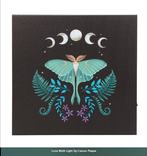 Luna Moth Light Up Canvas Plaque H30cm  W30cm  D2.5cm Etsy