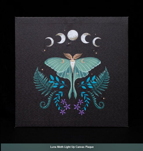 Luna Moth Light Up Canvas Plaque H30cm  W30cm  D2.5cm Etsy