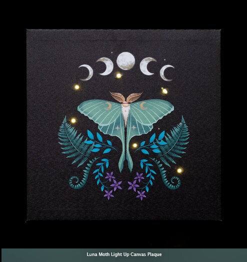 Luna Moth Light Up Canvas Plaque H30cm  W30cm  D2.5cm Etsy