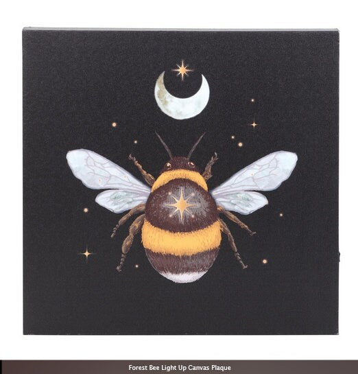 Forest Bee Light Up Canvas Plaque  H30cm W30cm D2.5cm Etsy