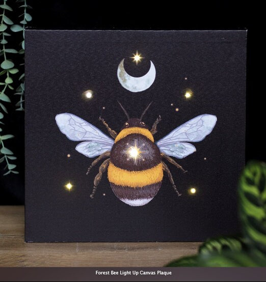 Forest Bee Light Up Canvas Plaque  H30cm W30cm D2.5cm Etsy