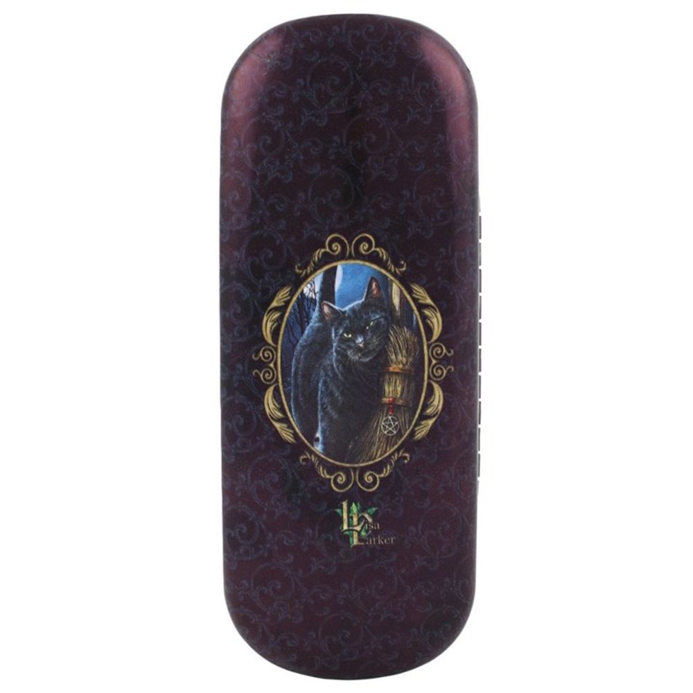 Brush With Magick Glasses case By Lisa Parker N/A