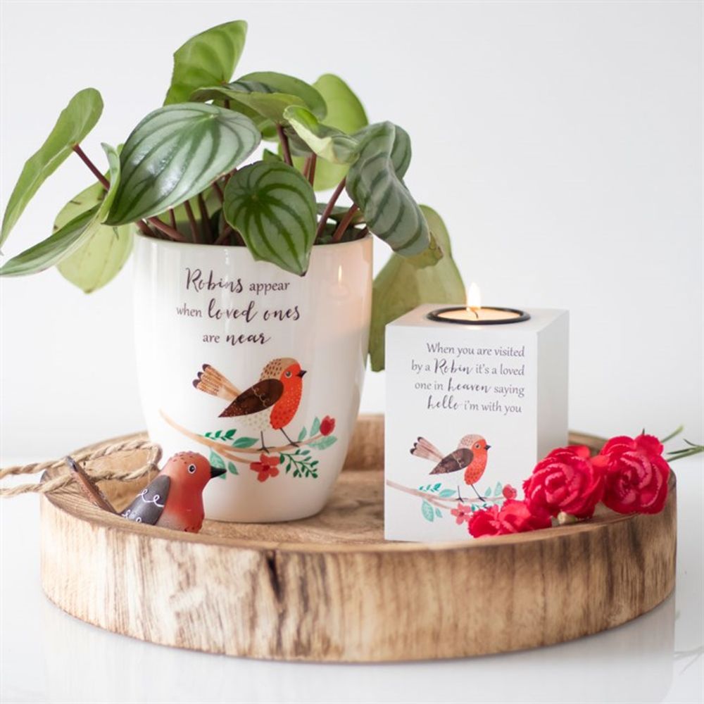 Winter Robin Ceramic Plant Pot N/A