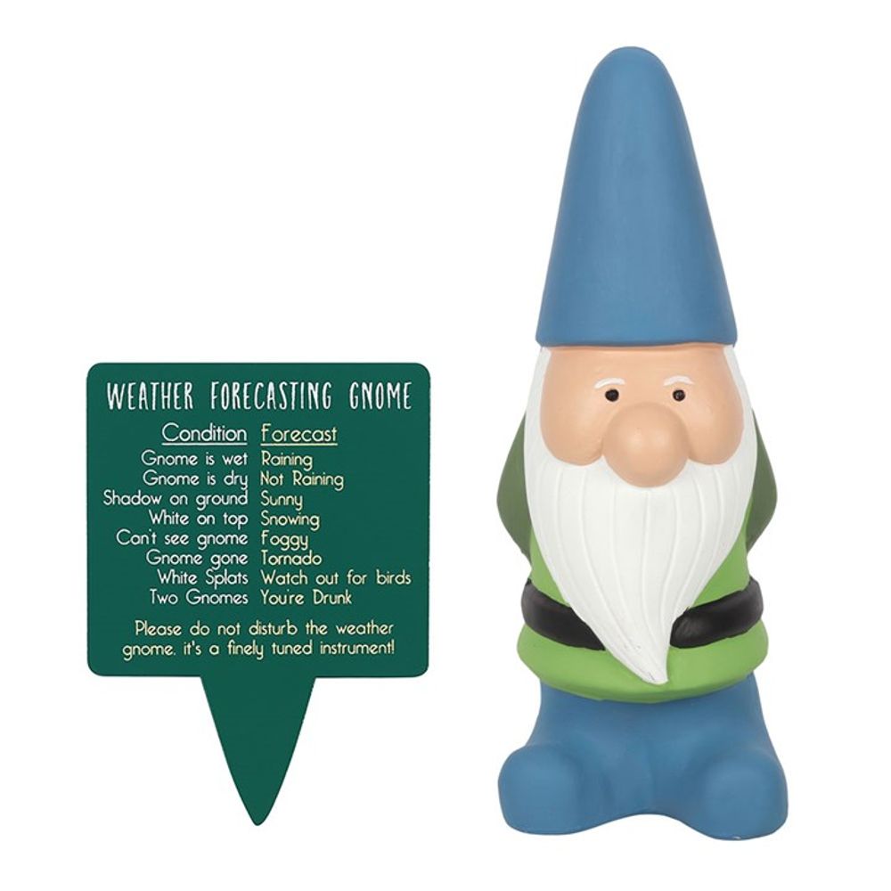 Large Weather Forecasting Gnome N/A