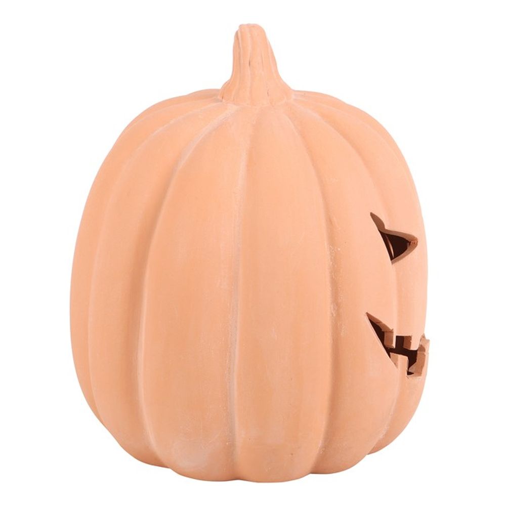 22cm Terracotta Pumpkin Ornament N/A