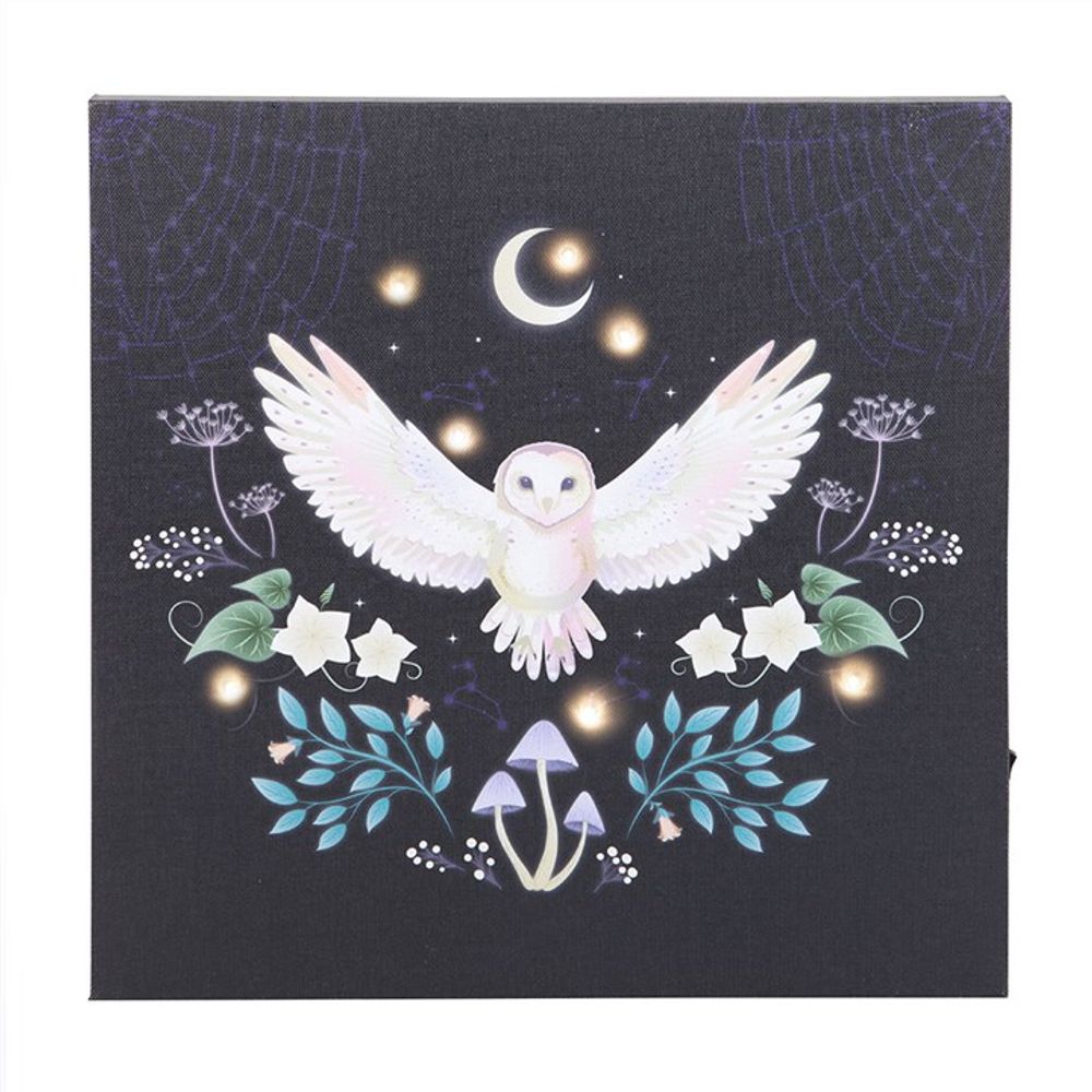 Midnight Moth Light Up Canvas Plaque N/A