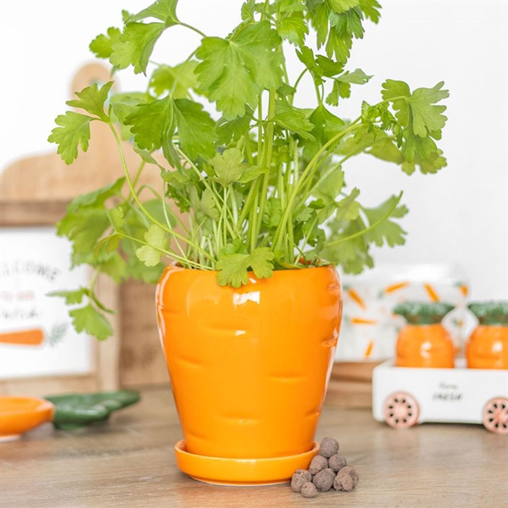 Carrot Shaped Plant Pot with Parsley Seed Balls N/A