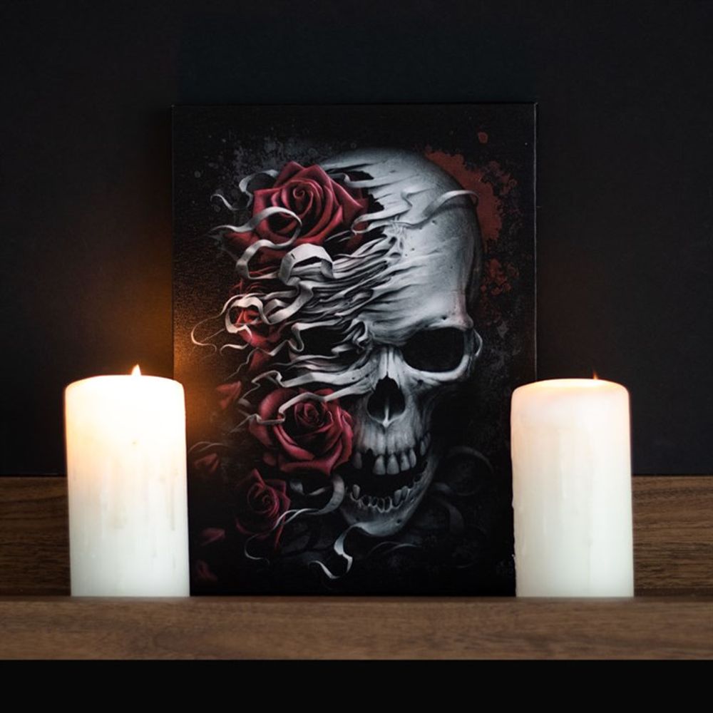 19x25cm Skulls n Roses Canvas Plaque by Spiral Direct N/A