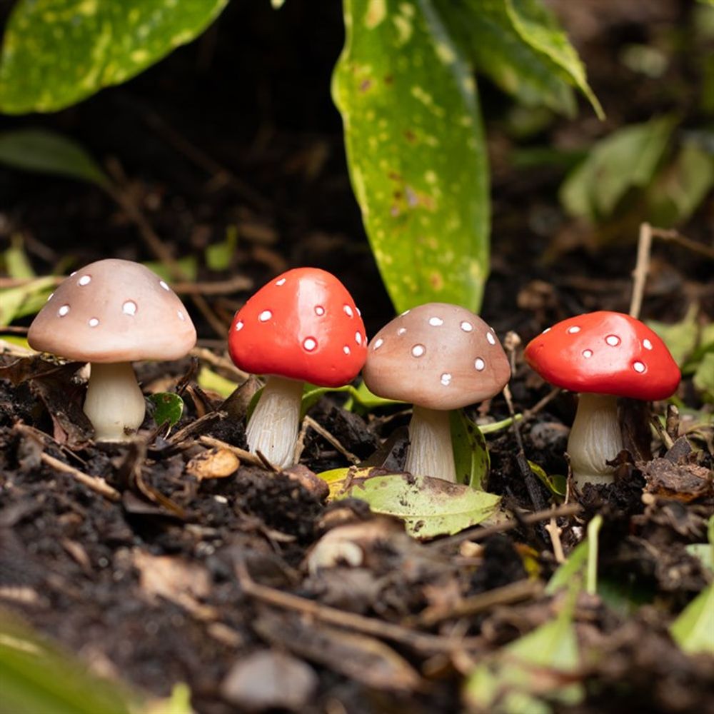 Set of 4 Mini Mushroom Plant Pot Pals N/A