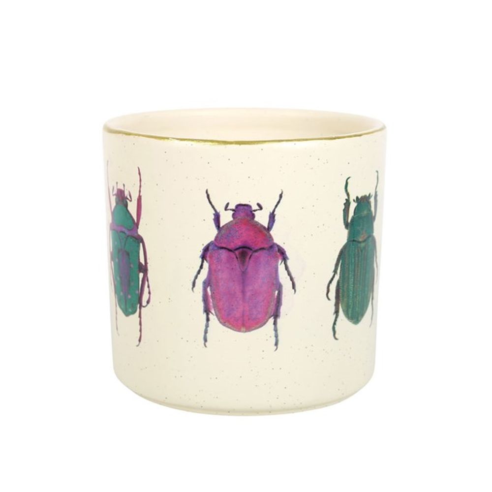 Off White Beetle Plant Pot N/A