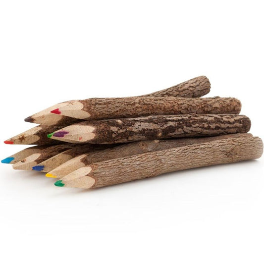 Set of 10 Twig Pencils N/A