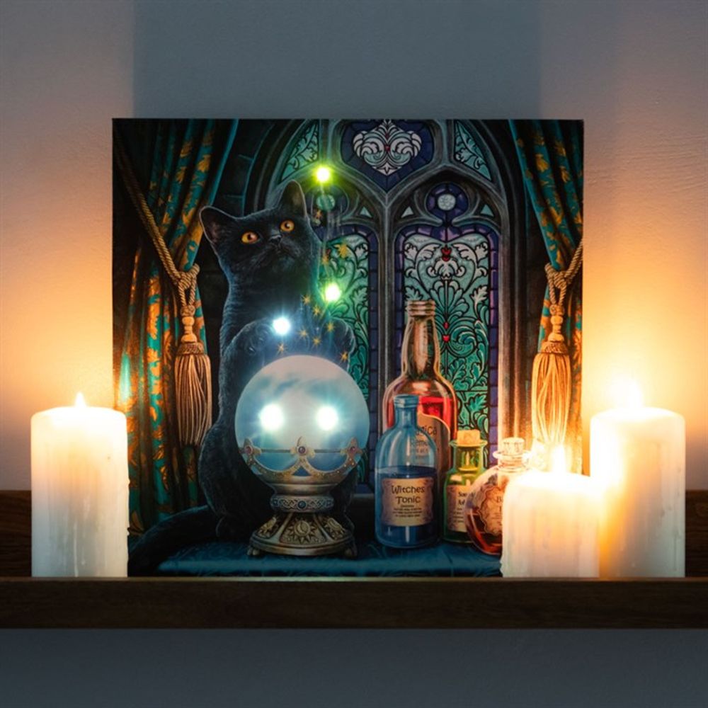 The Witches Apprentice Light Up Canvas Plaque by Lisa Parker N/A