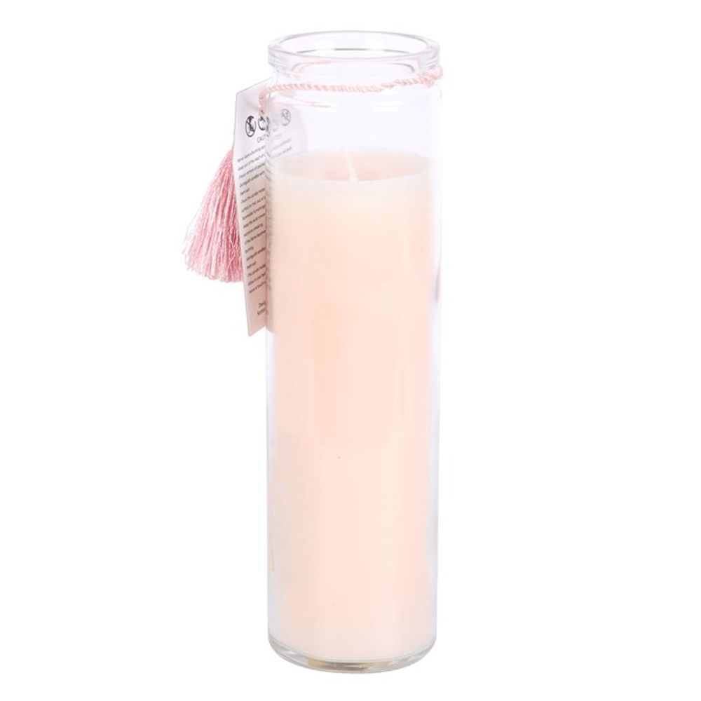 The Sun Pink Grapefruit Tube Candle N/A