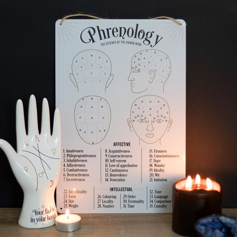 Phrenology Map Metal Sign N/A