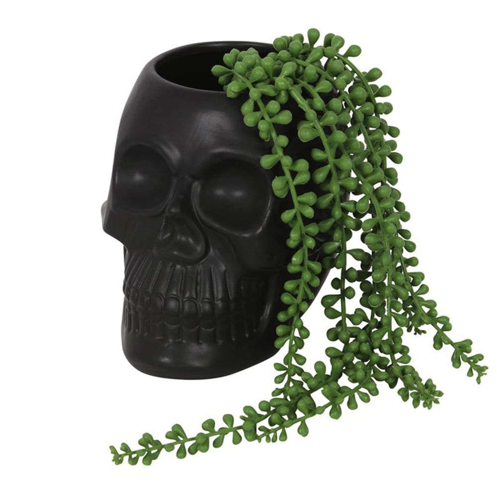 Black Skull Plant Pot N/A