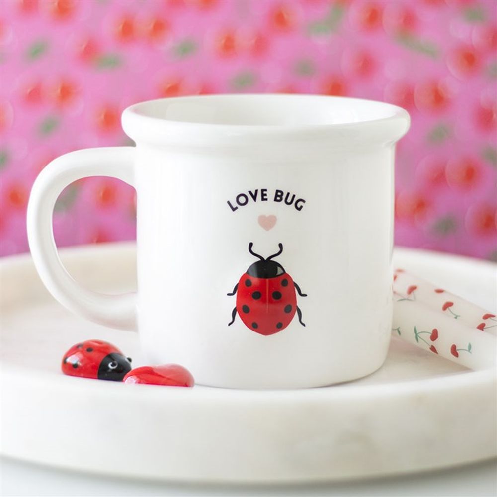 Love Bug Mug with 3D Ladybird N/A