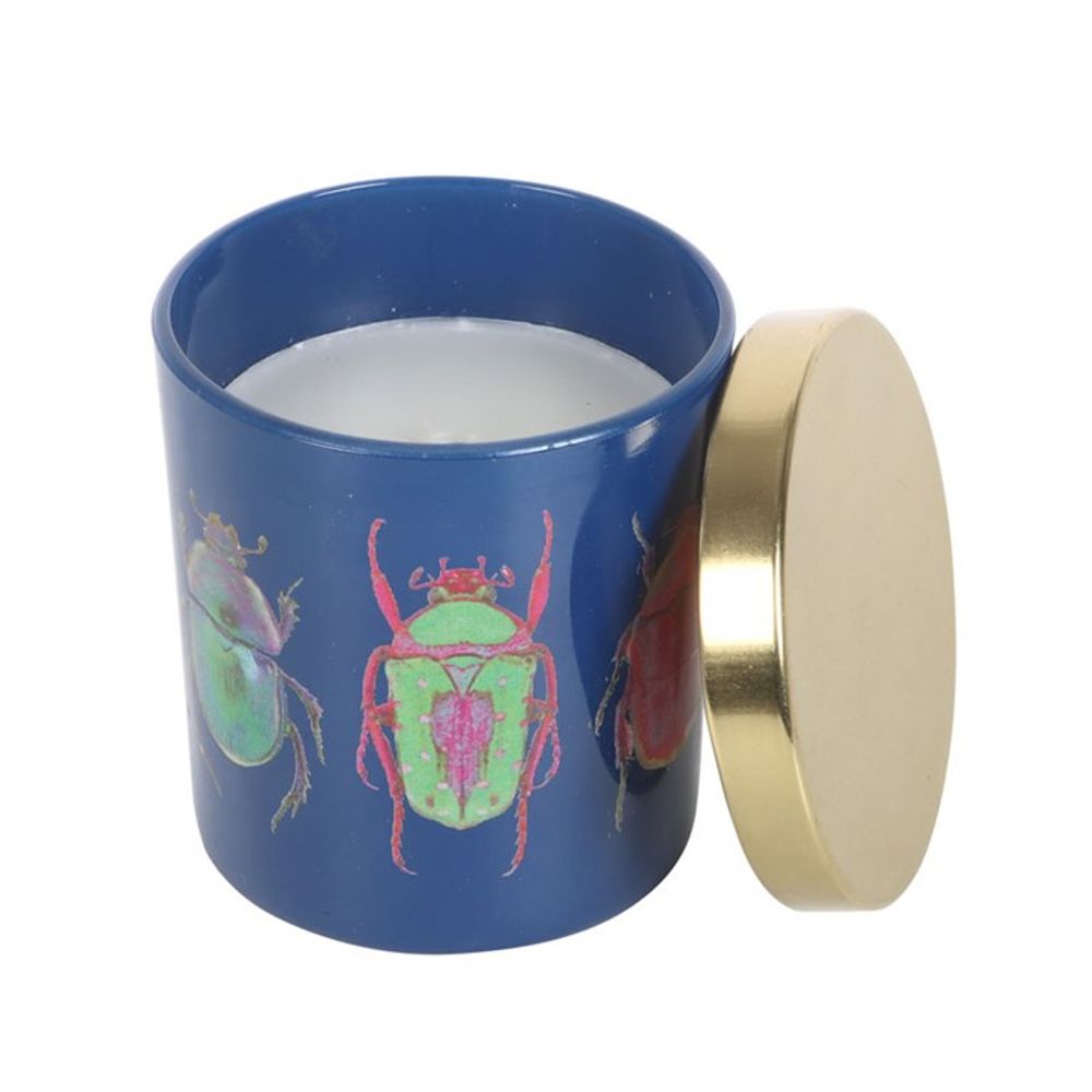 Blue Beetle Candle N/A