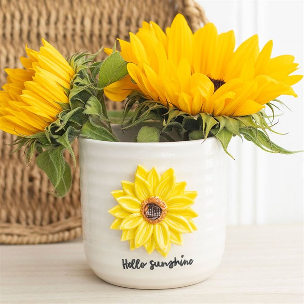 Hello Sunshine Plant Pot with 3D Sunflower N/A