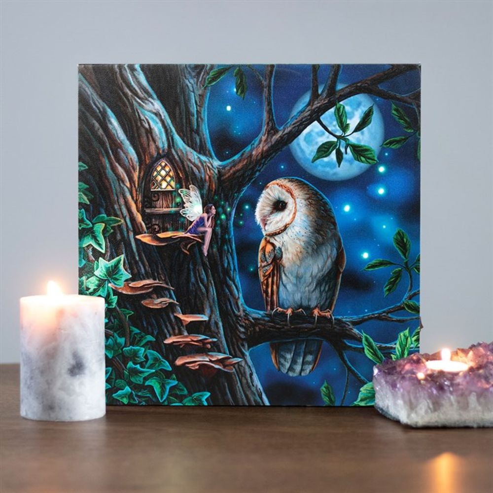 Fairy Tales Light Up Canvas Plaque by Lisa Parker N/A