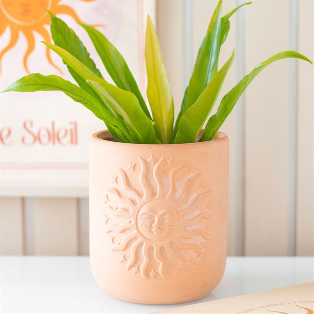 Terracotta Sun Plant Pot N/A