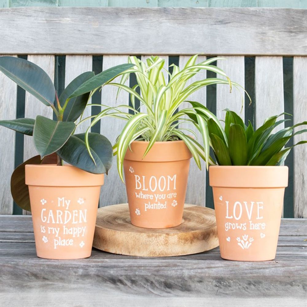 Bloom Where You Are Planted Terracotta Plant Pot N/A