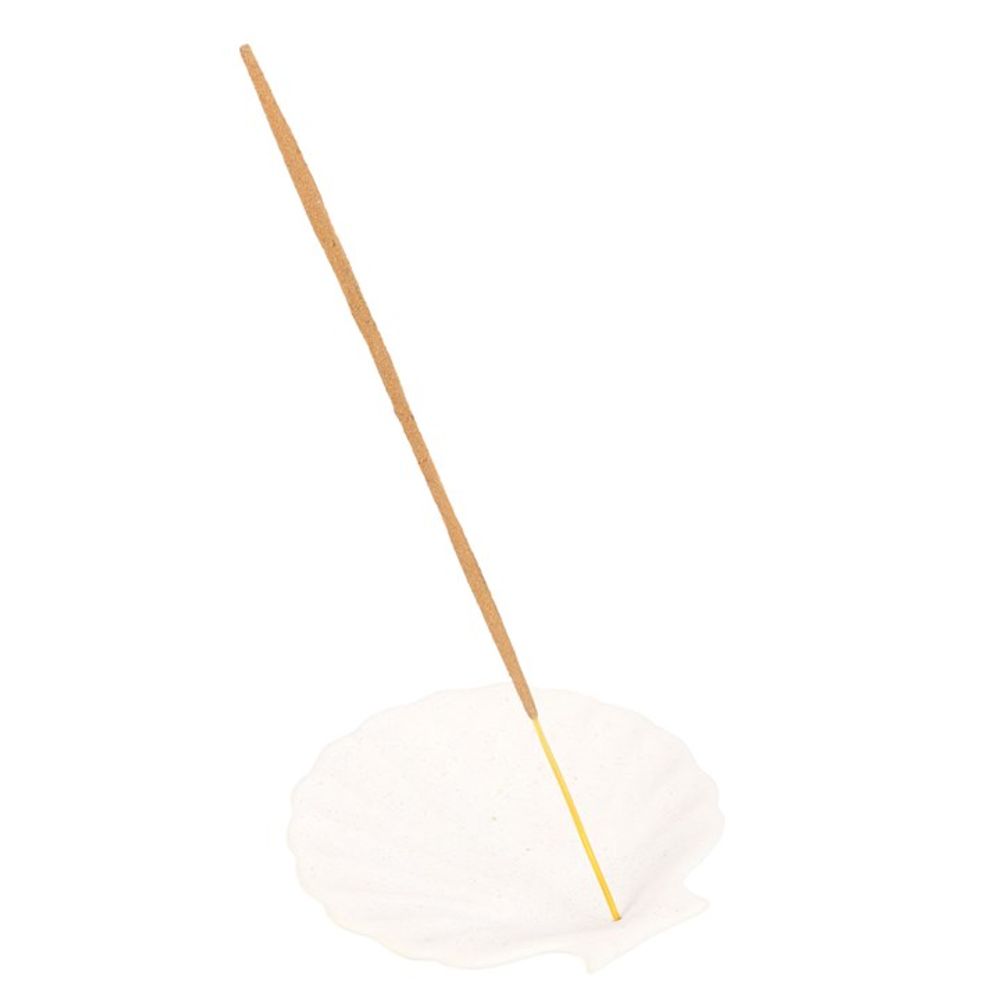 Off White Scallop Shell Incense Stick Holder N/A