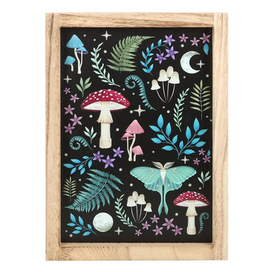 Dark Forest Framed Wall Print N/A