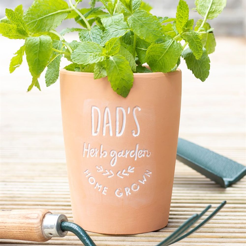 Dad's Garden Terracotta Plant Pot N/A