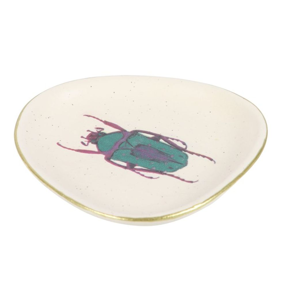 Off White Beetle Trinket Dish N/A