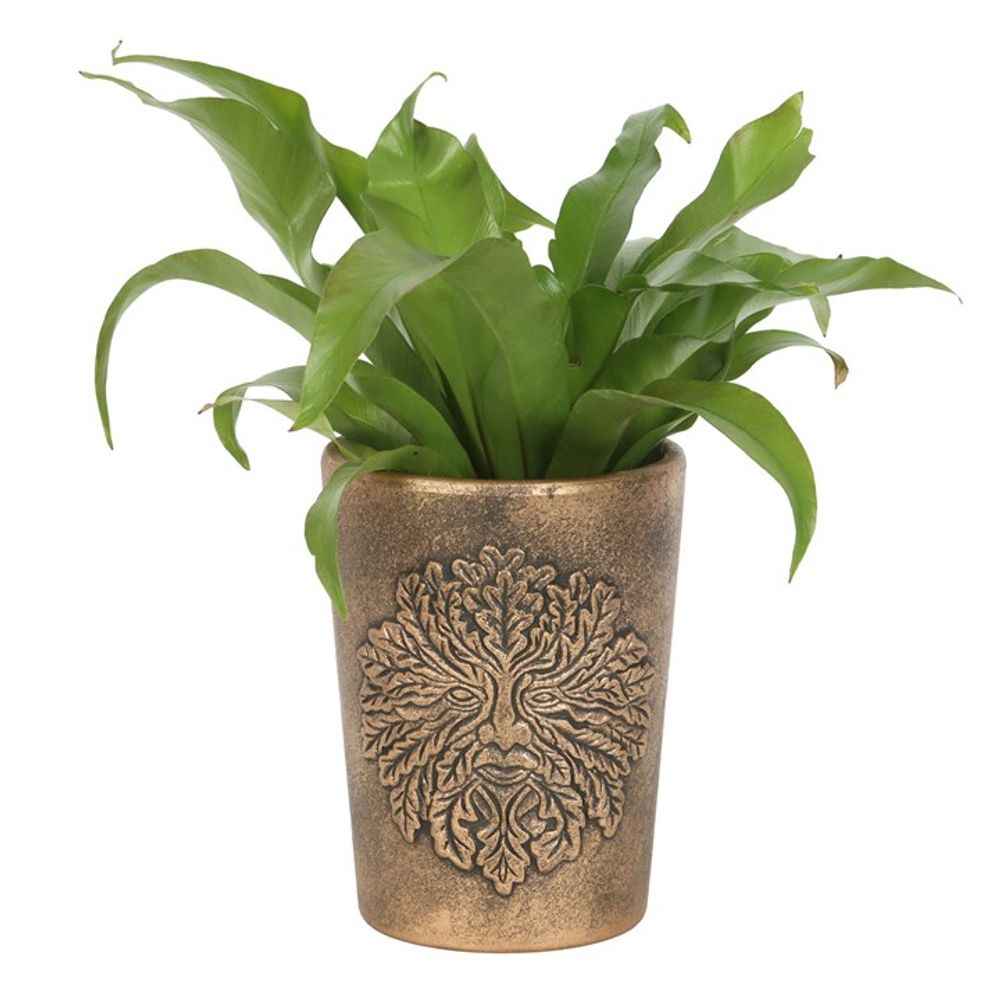 Green Man Bronze Terracotta Plant Pot by Lisa Parker N/A