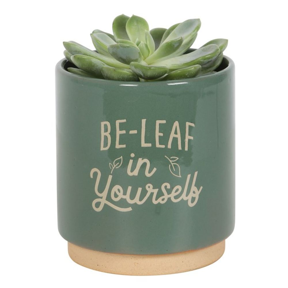 Green Be-Leaf in Yourself Plant Pot N/A