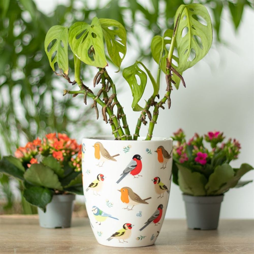 British Garden Birds Ceramic Plant Pot N/A