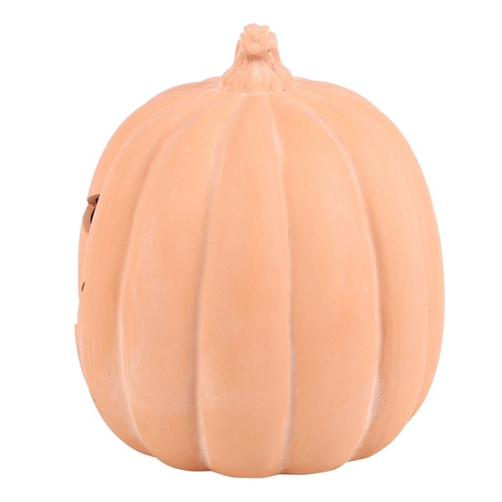 22cm Terracotta Pumpkin Ornament N/A