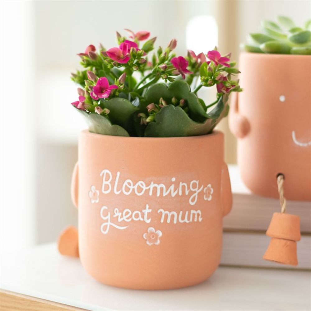 Blooming Great Mum Sitting Plant Pot Pal N/A