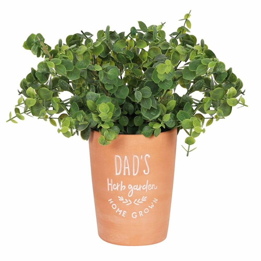 Dad's Garden Terracotta Plant Pot N/A