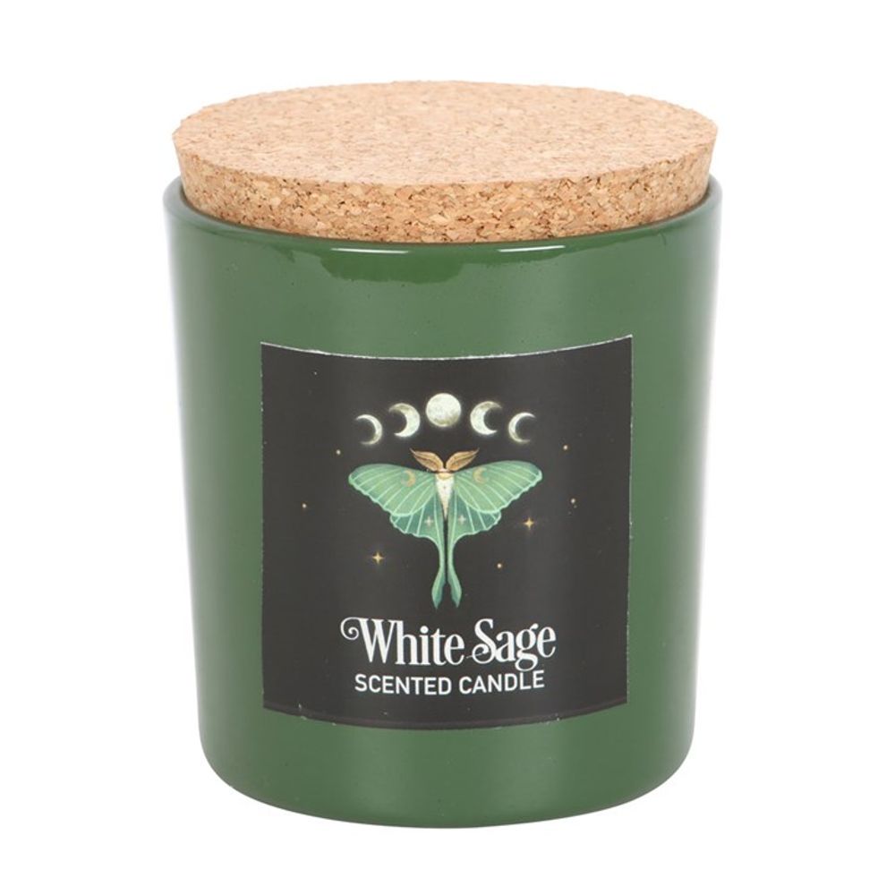 Luna Moth White Sage Candle N/A