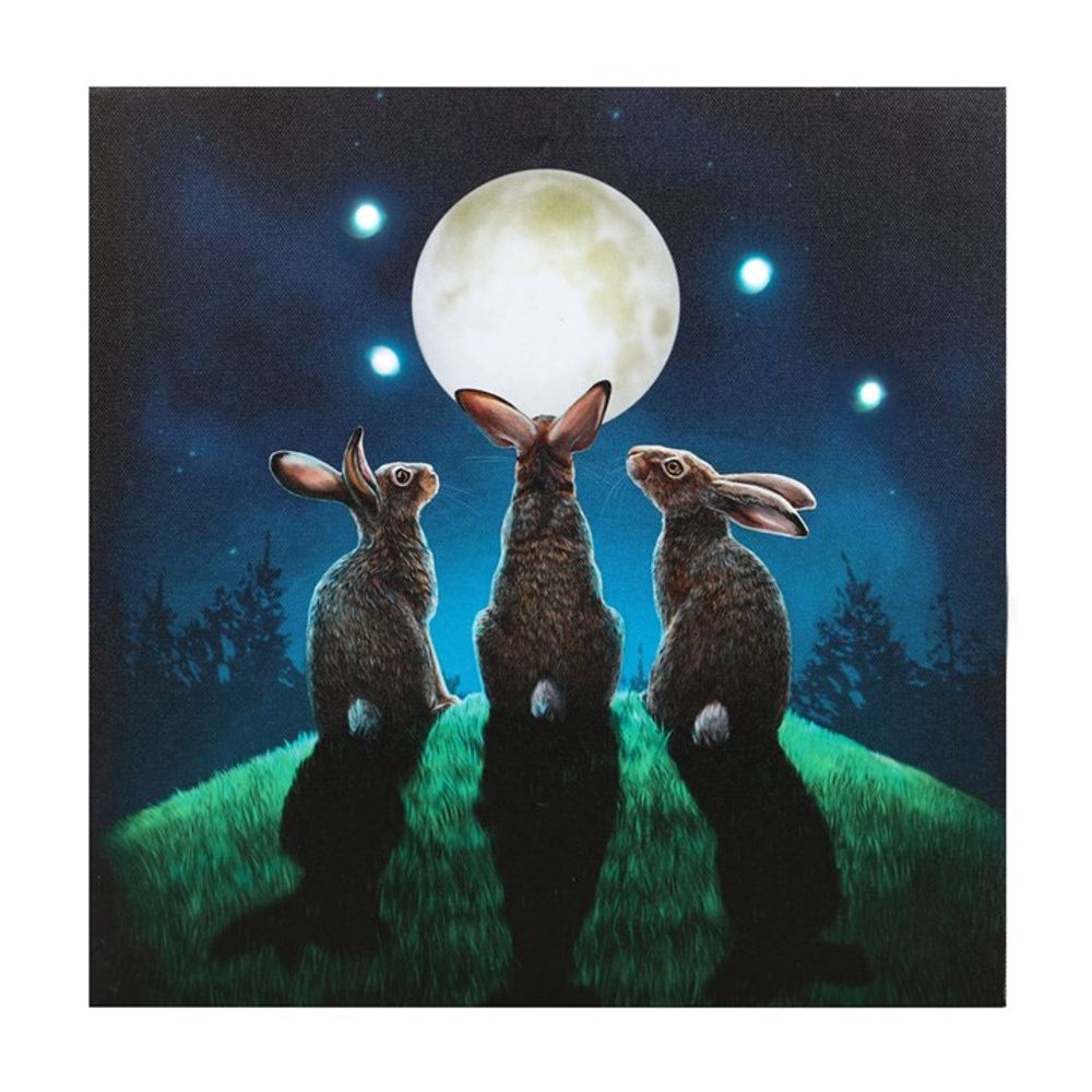 Moon Shadows Light Up Canvas Plaque by Lisa Parker N/A