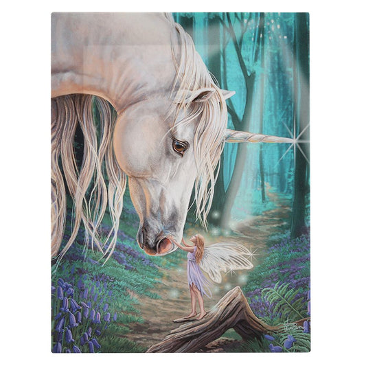 19x25cm Fairy Whispers Canvas Plaque by Lisa Parker N/A