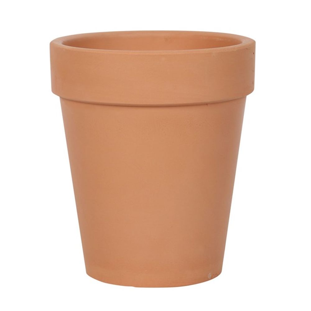 Bloom Where You Are Planted Terracotta Plant Pot N/A