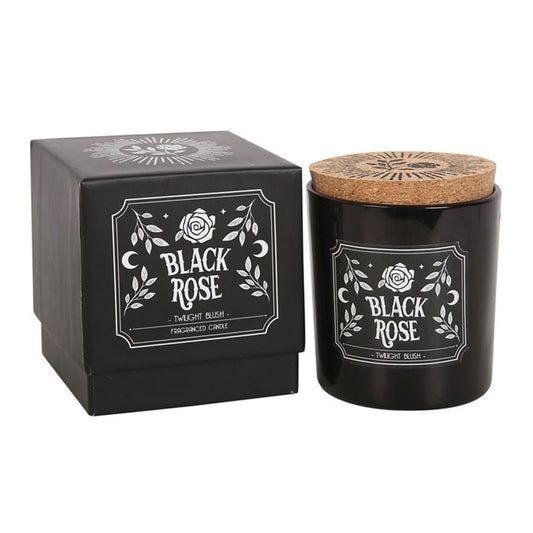 Black Rose Twilight Blush Candle N/A