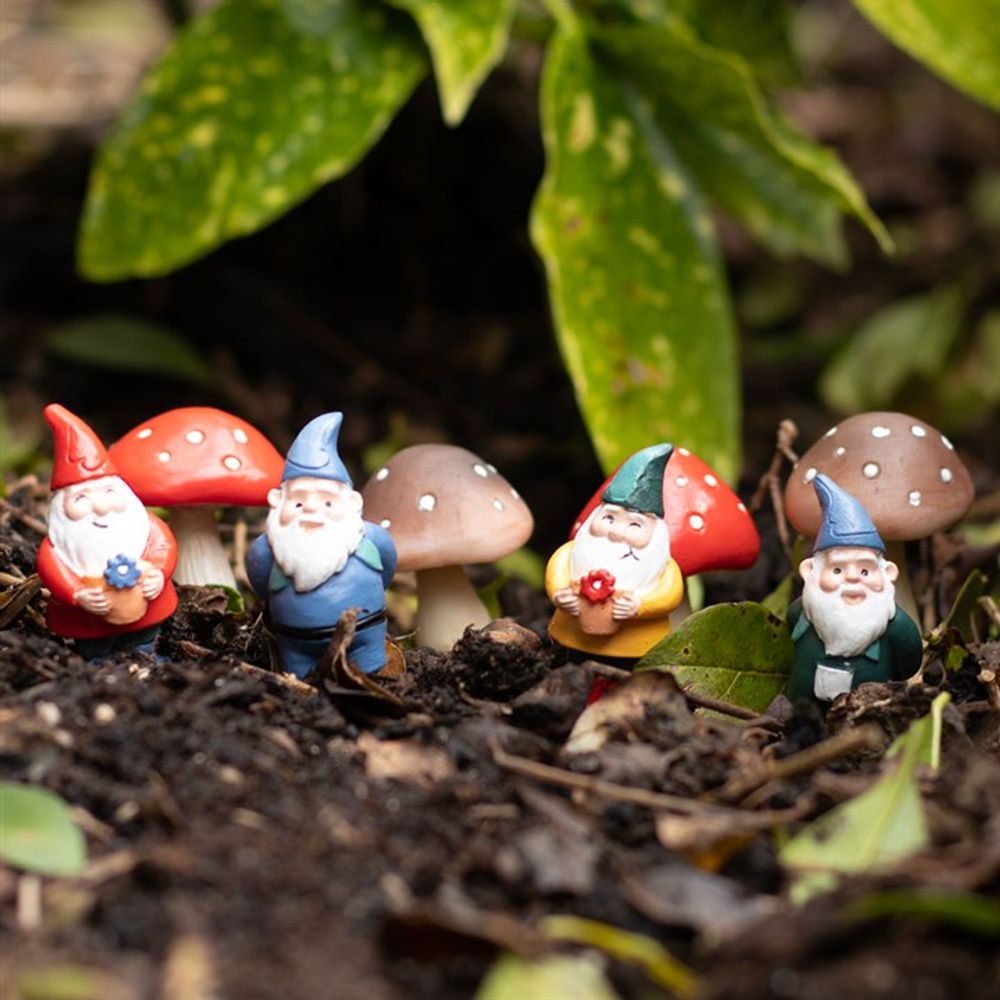 Set of 4 Mini Gnome Plant Pot Pals N/A