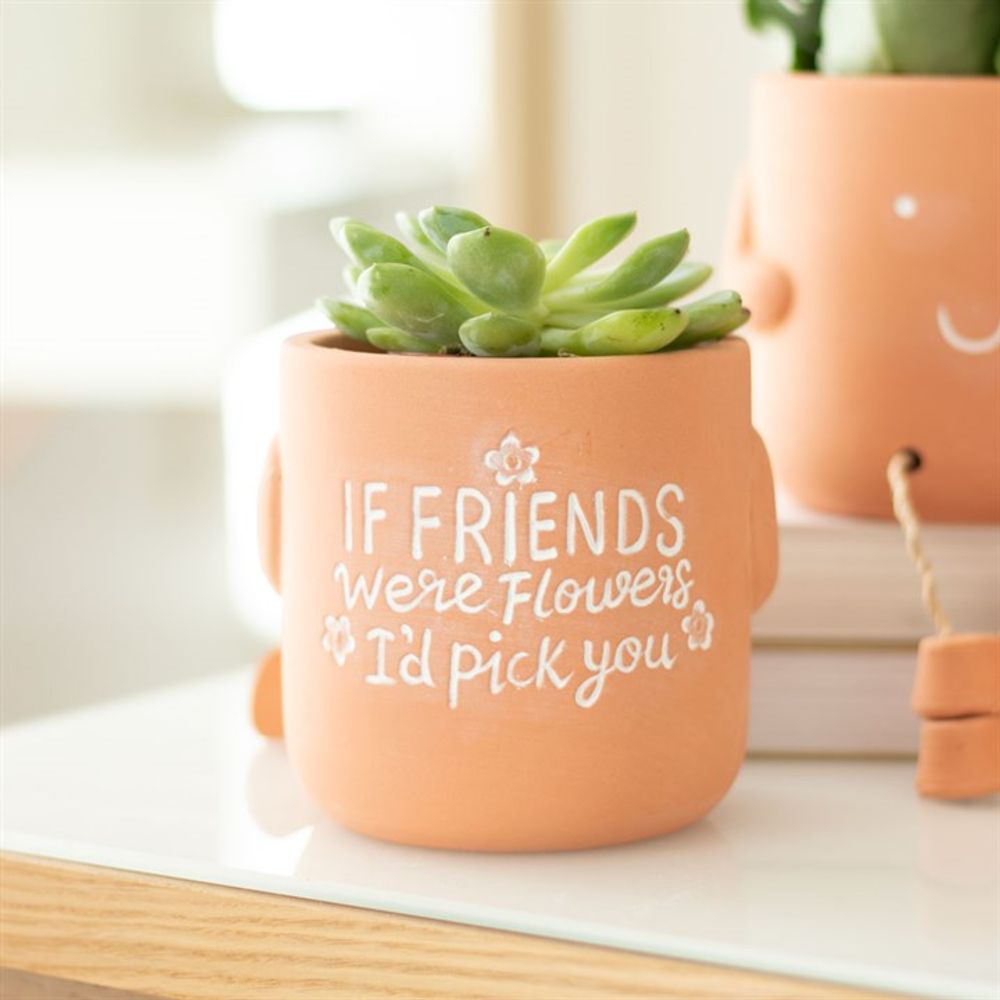 If Friends Were Flowers Sitting Plant Pot Pal N/A