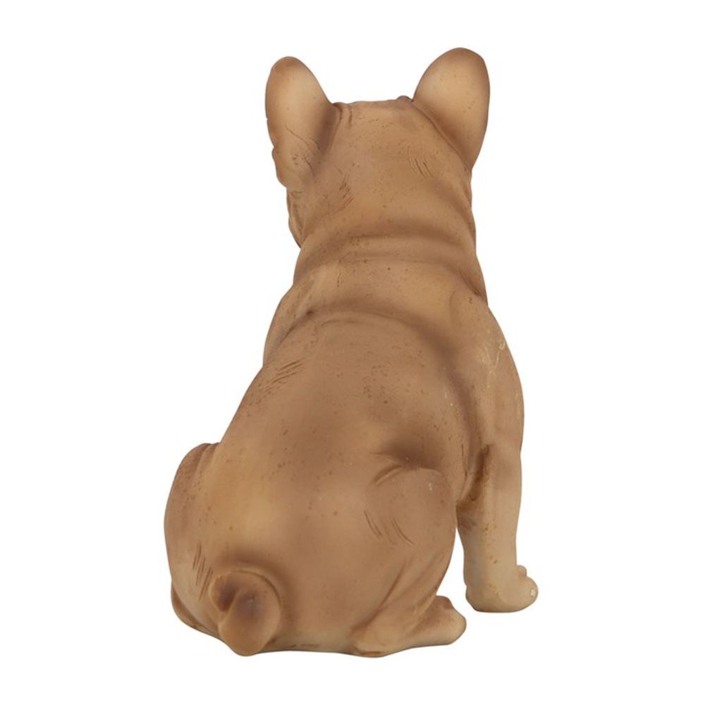 French Bull Dog Ornament N/A