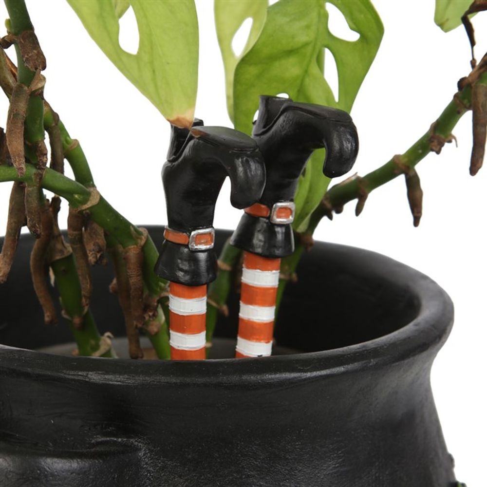 Set of 2 Witch Leg Plant Pot Ornaments N/A