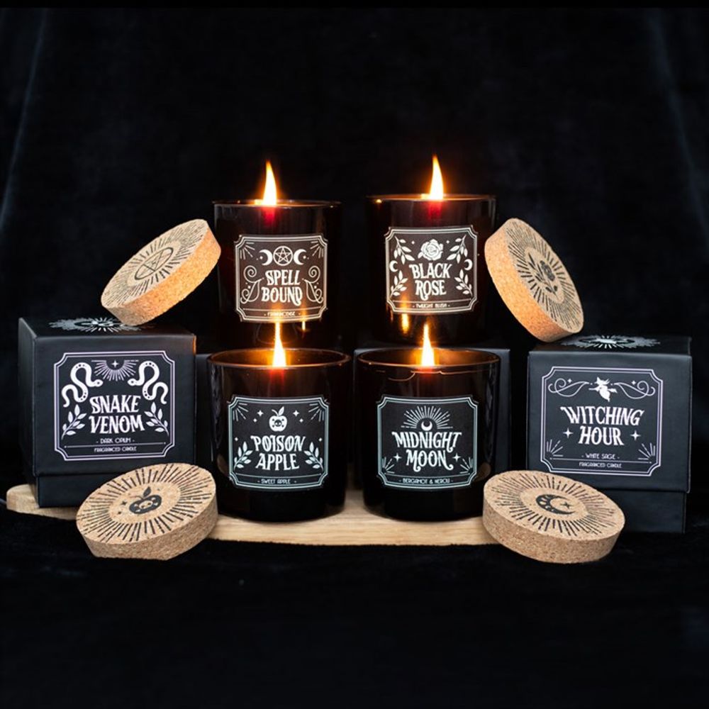 Set of 6 Midnight Ritual Candles N/A