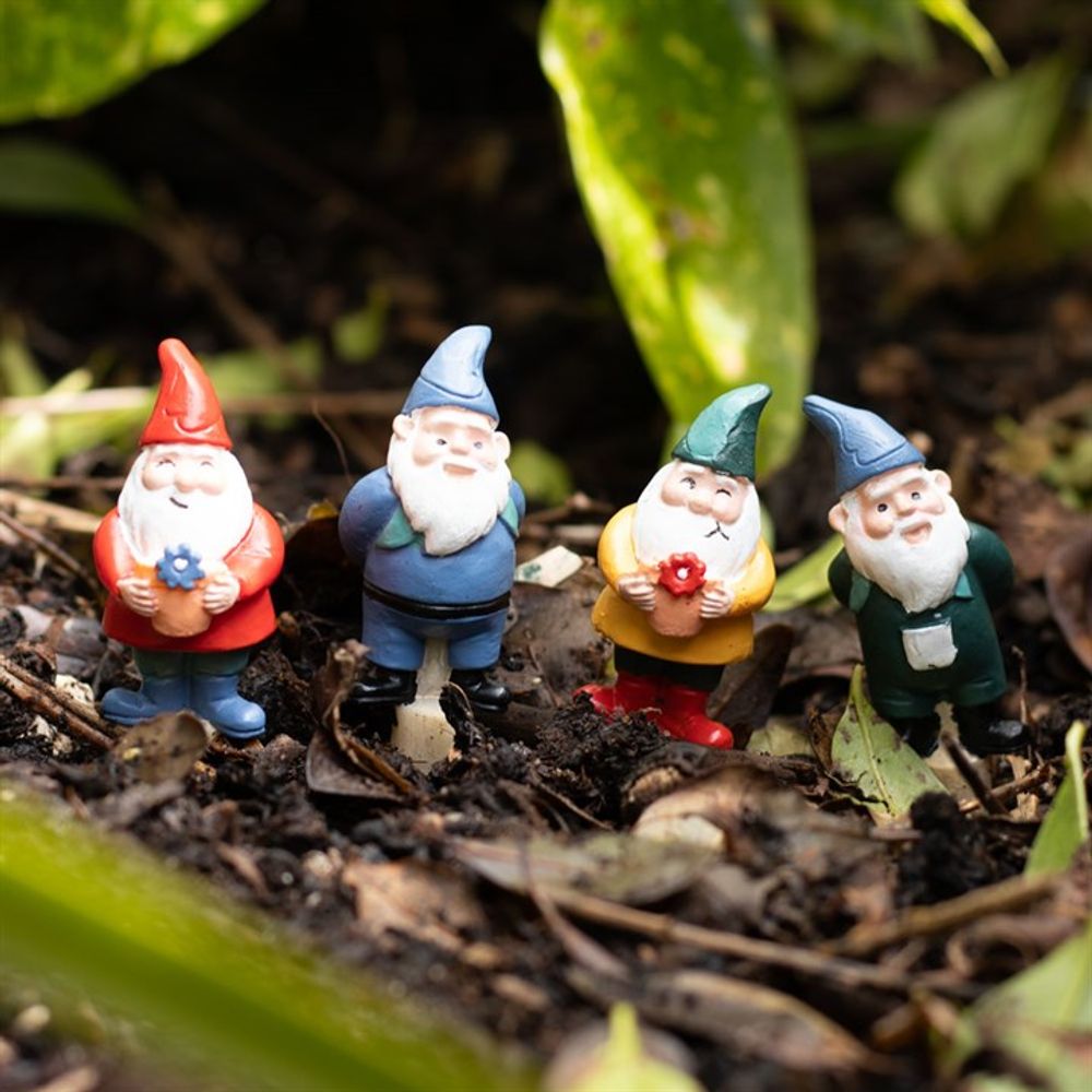 Set of 4 Mini Gnome Plant Pot Pals N/A